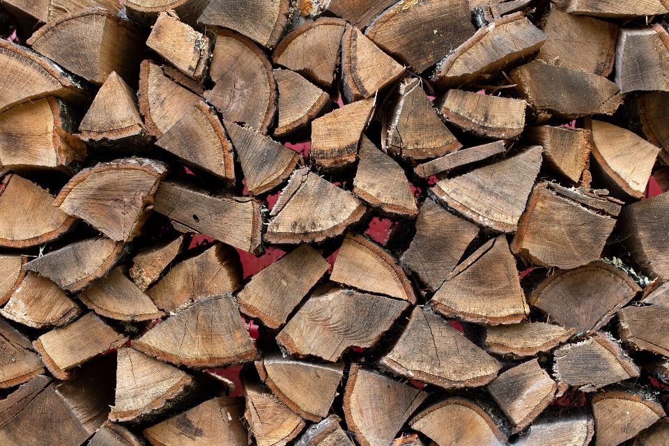 Best Wood for Smoking: A Guide to Flavors, Forms and Pairings